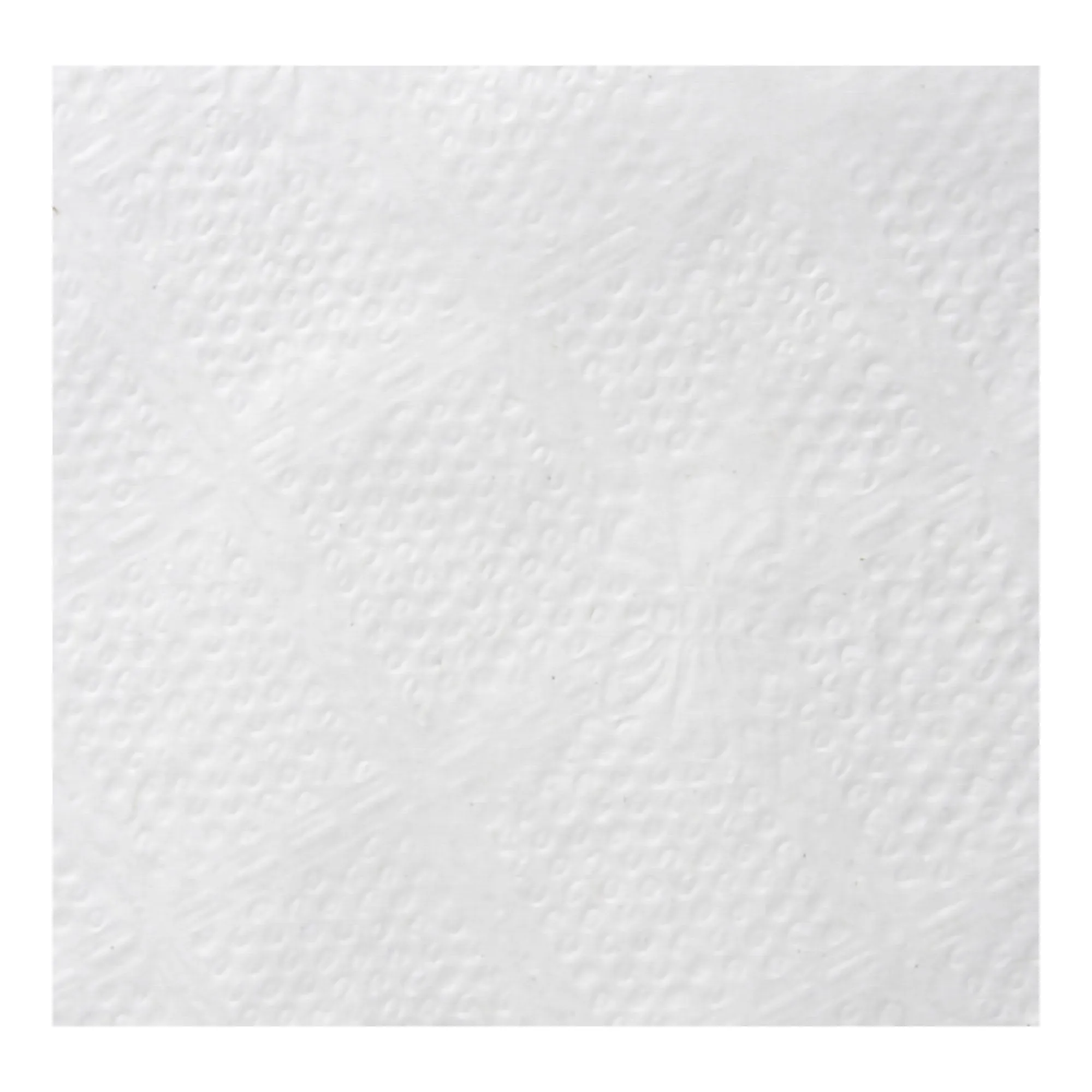 acclaim® Luncheon Napkin, 1 Case of 12