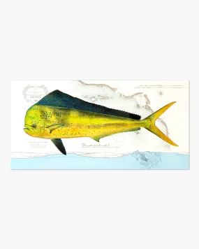 Amadeo Golden Mahi Print