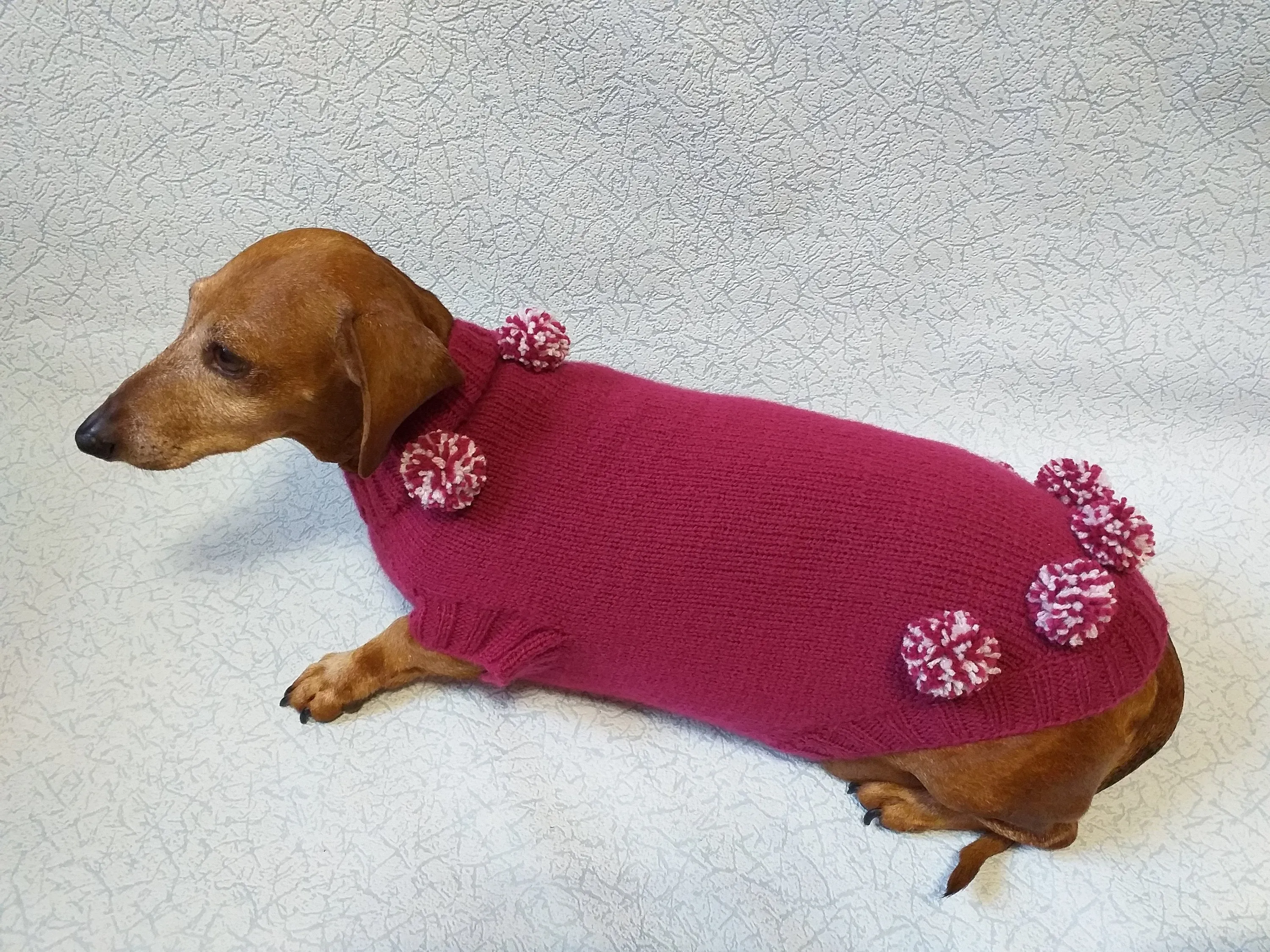 Christmas dachshund clothes pom-pom sweater