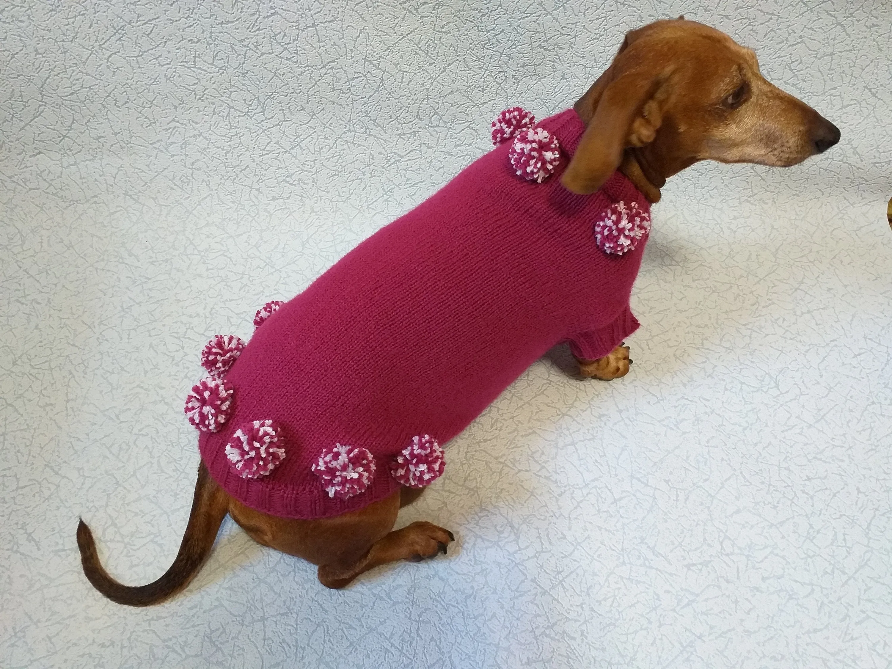 Christmas dachshund clothes pom-pom sweater