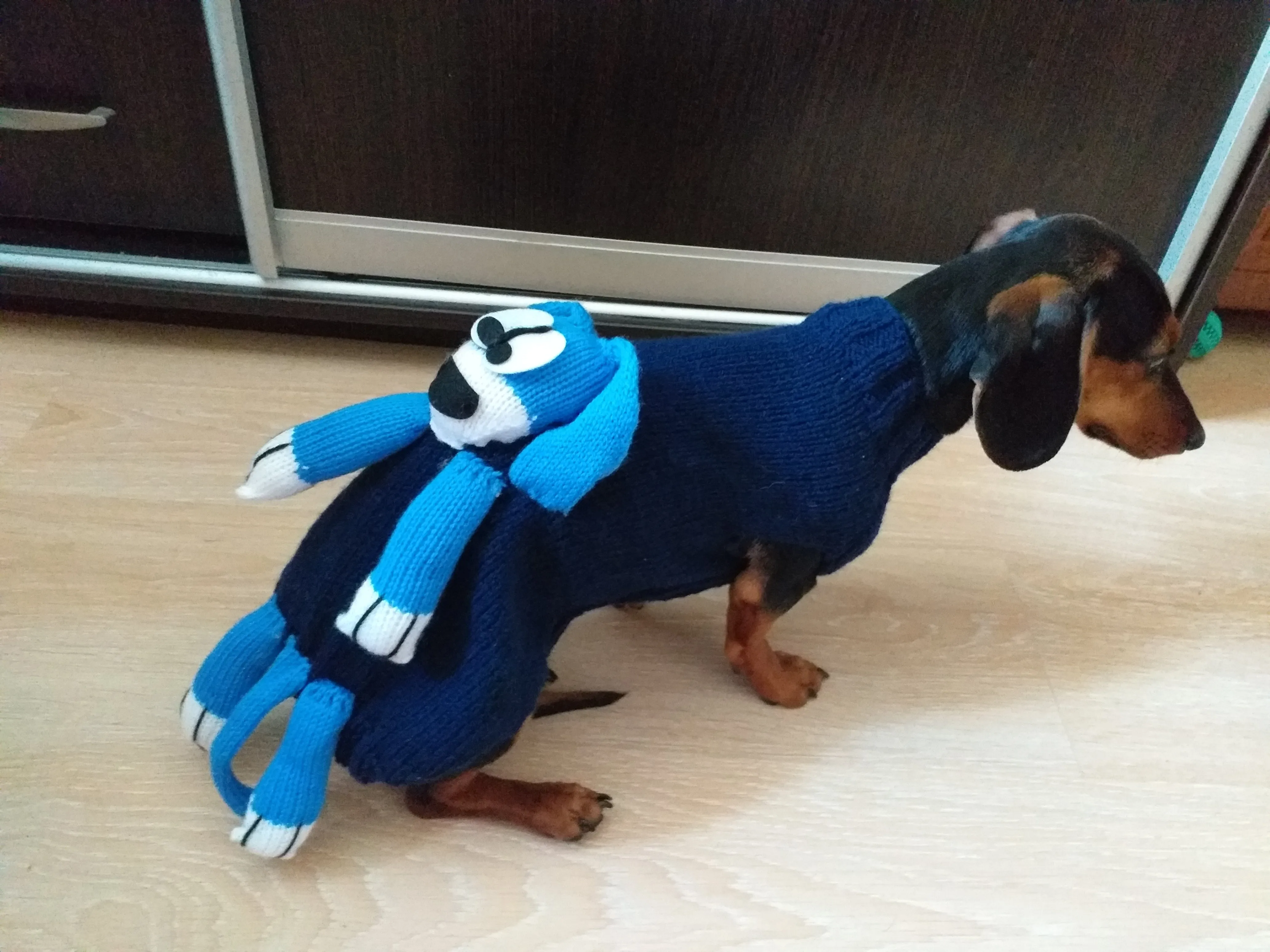 Clothes with toy dog for dachshund or small dog, Mini Dachshund Jumper, Clothes Dog Sweater, Sweater for miniature dachshund or small dog