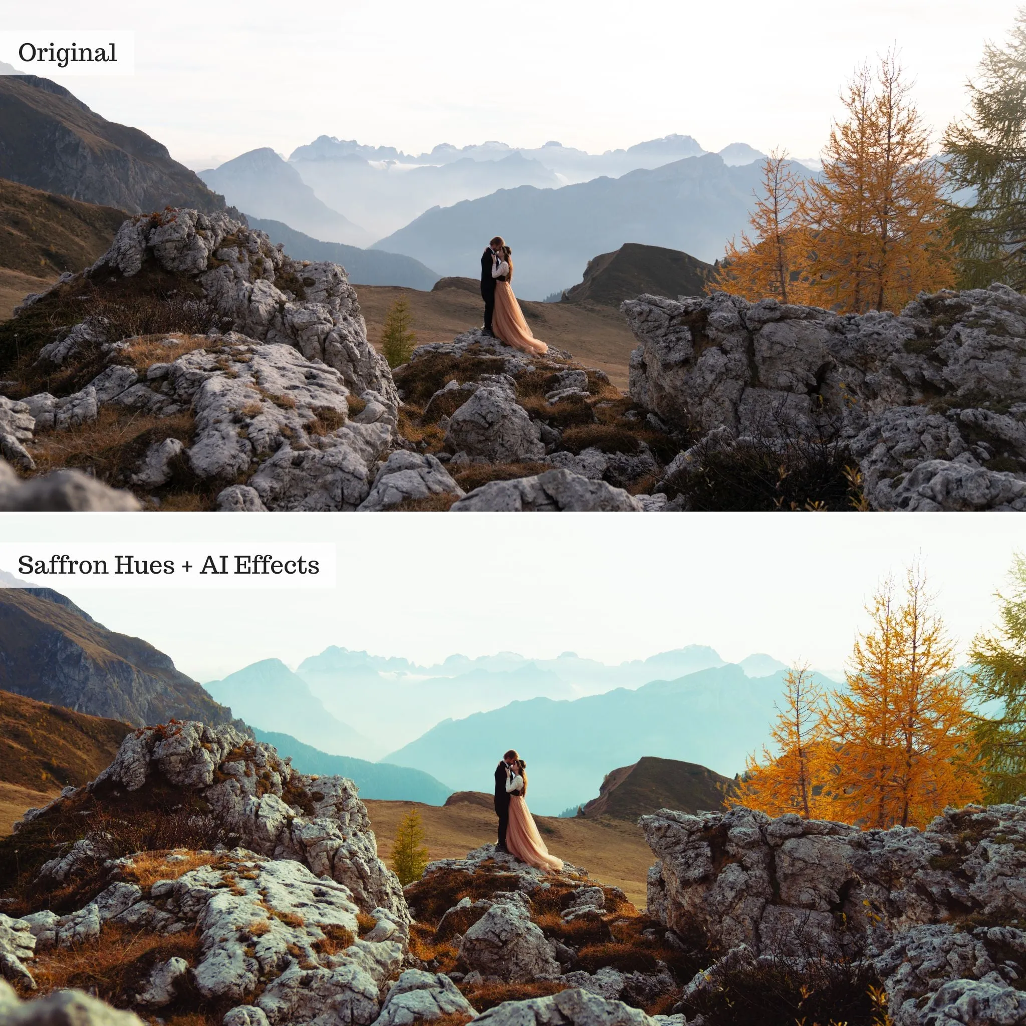 ColorMade Lightroom Preset Bundle (18 collections)