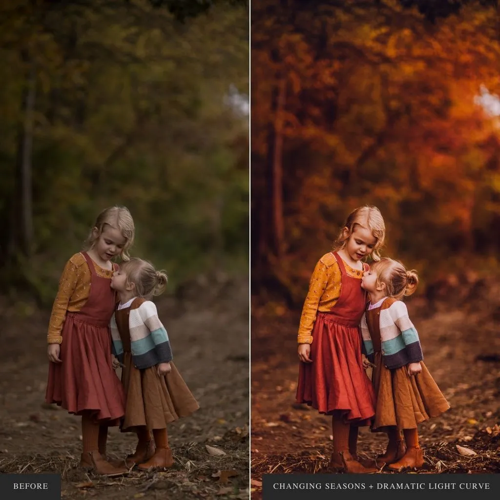 ColorMade Lightroom Preset Bundle (18 collections)