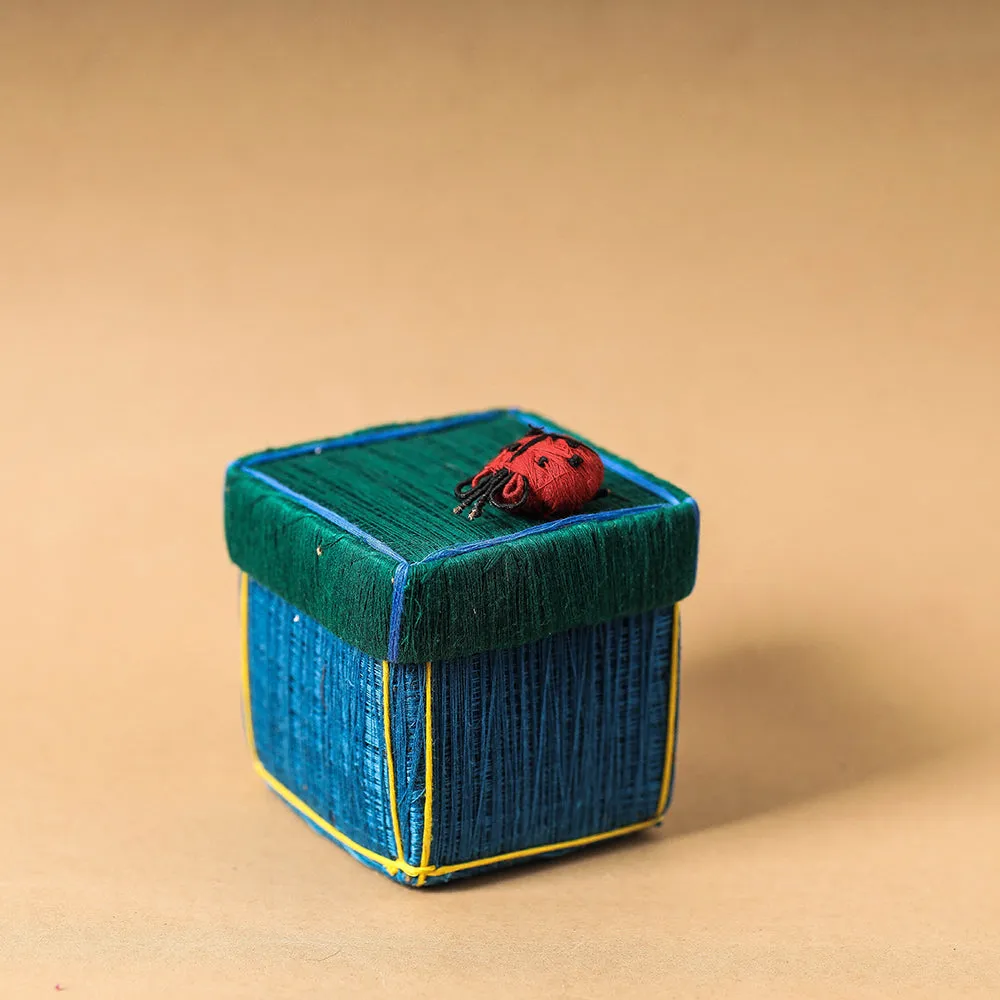 Handmade Coir Jewelry Box - Bug