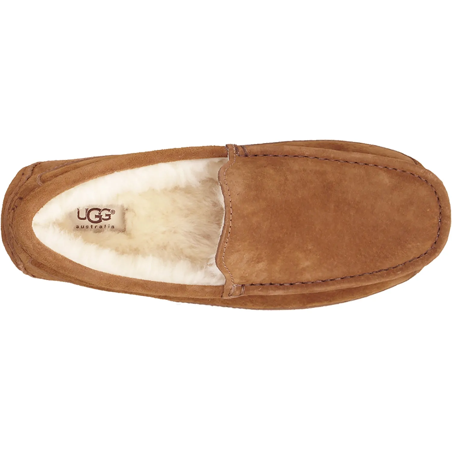 Men's UGG Ascot Chestnut Suede