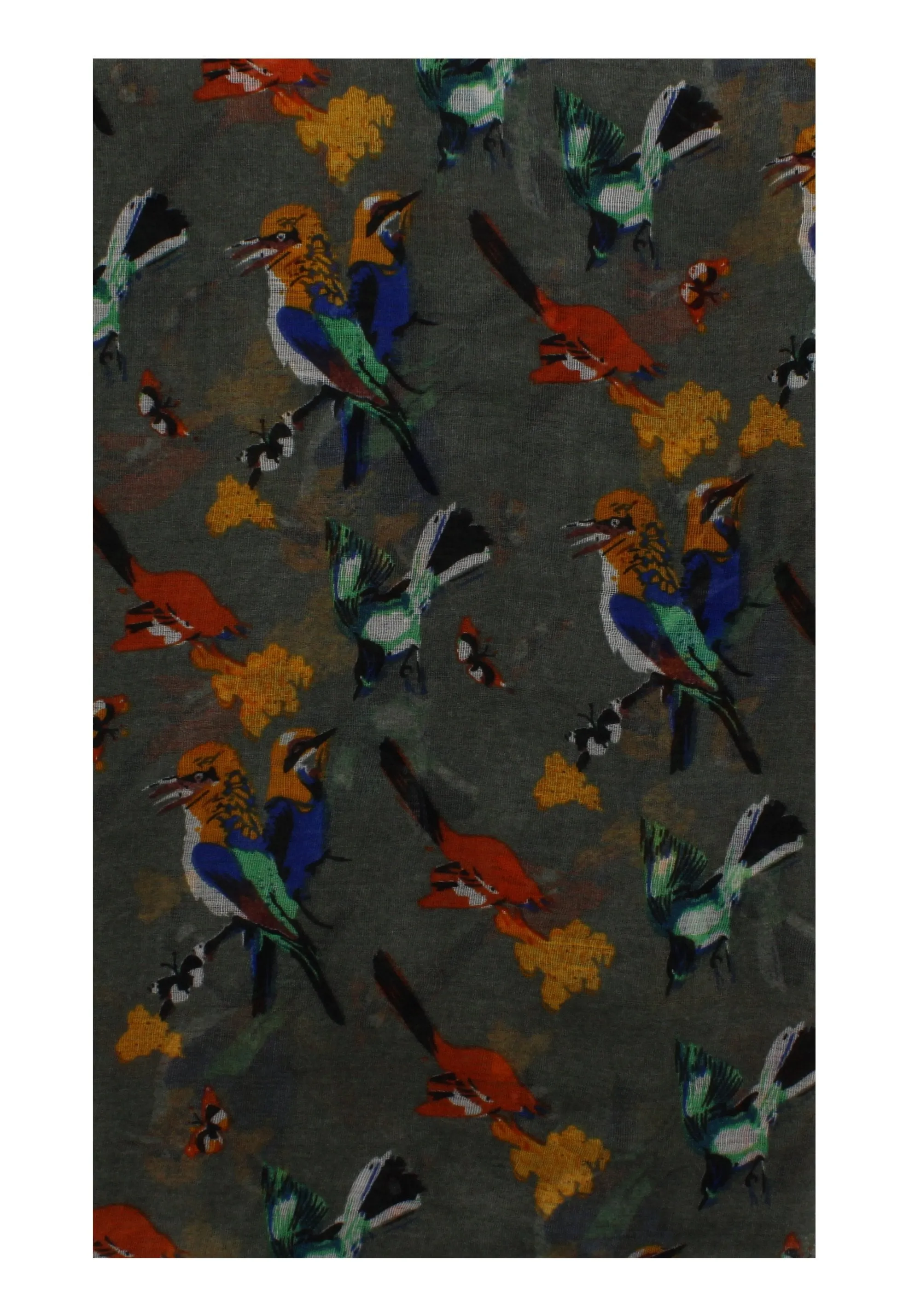 Multicolour Bird on Scarf