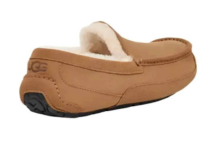 UGG® Men's Ascot Slipper - Chestnut