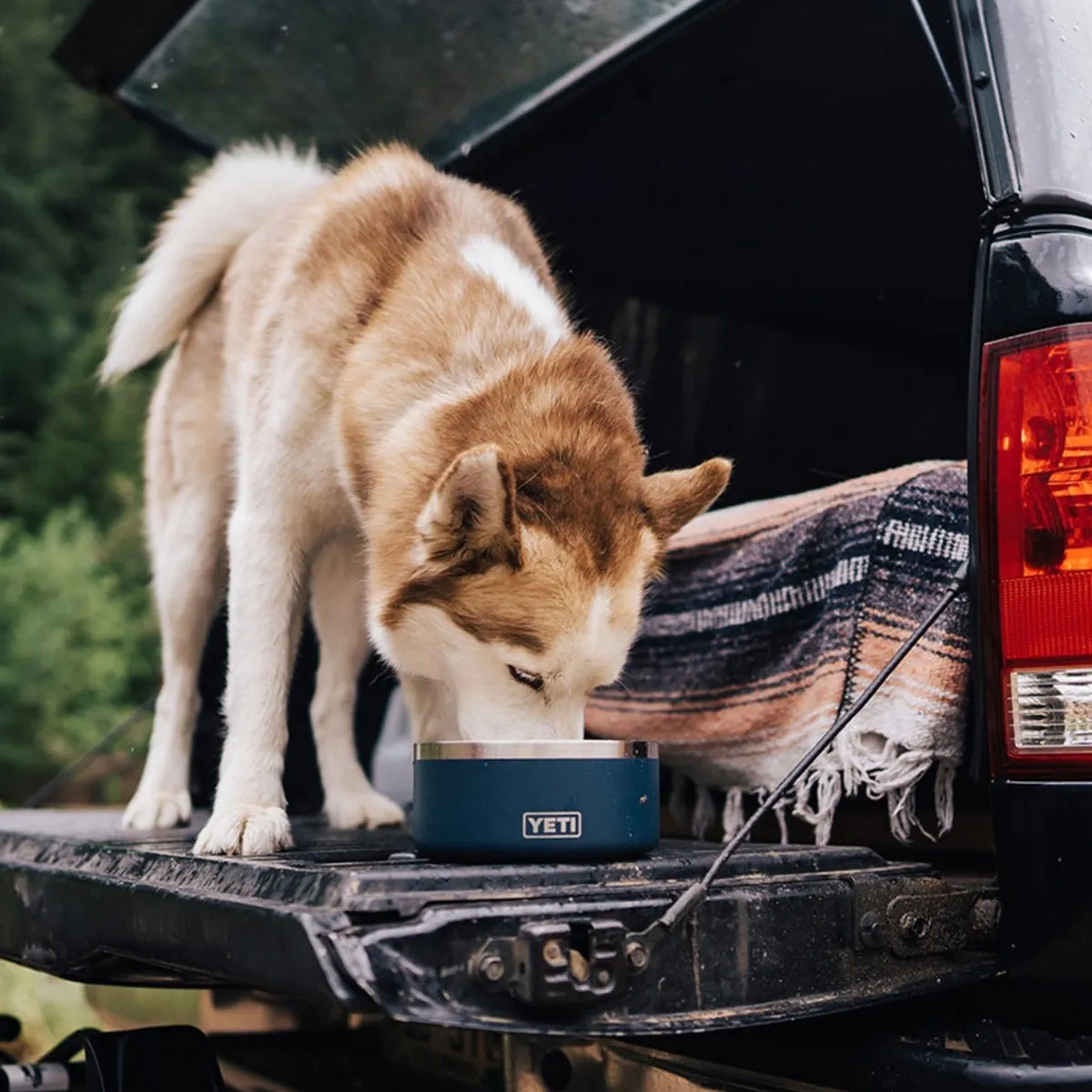 YETI Boomer 4 Cup Dog Bowl, Navy